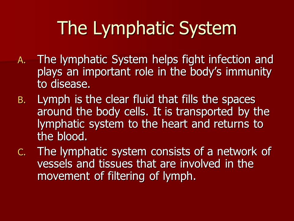 The Lymphatic System A.