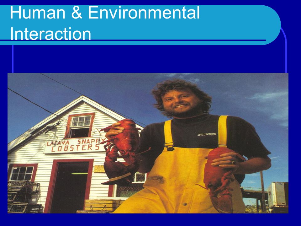 Human Environmental Interaction Way of Life Positive and negative interactions