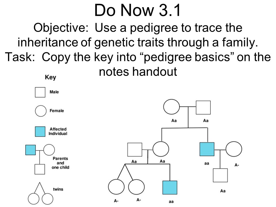kennedy family genetic traits kennedy family genetic traits