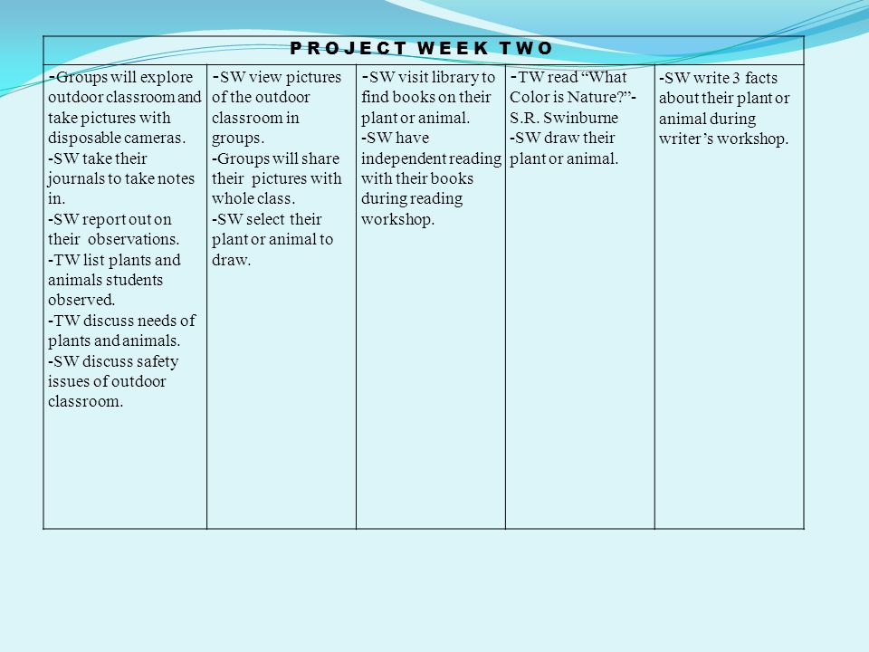 PROJECT WEEK TWO - Groups will explore outdoor classroom and take pictures with disposable cameras.