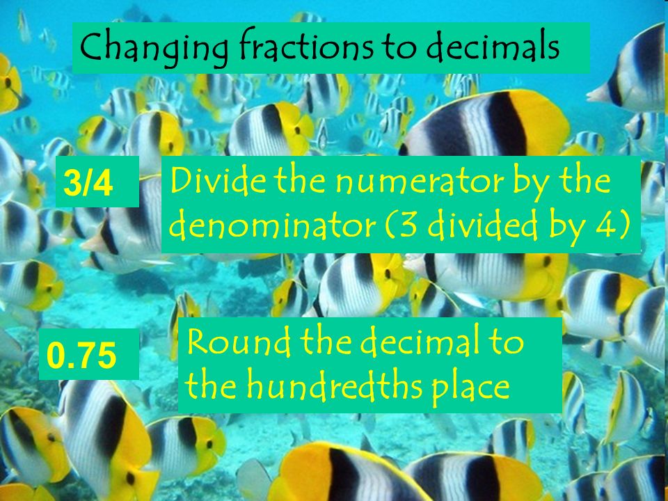 Changing fractions to decimals 3/4 Divide the numerator by the denominator (3 divided by 4) Round the decimal to the hundredths place 0.75