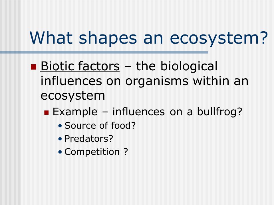 What shapes an ecosystem.