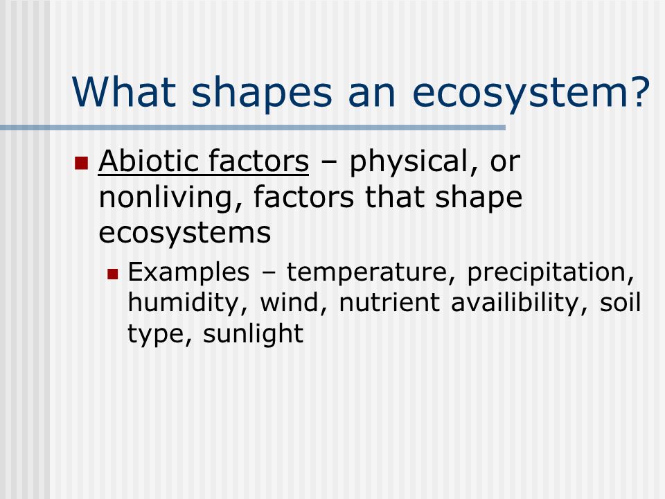 What shapes an ecosystem.
