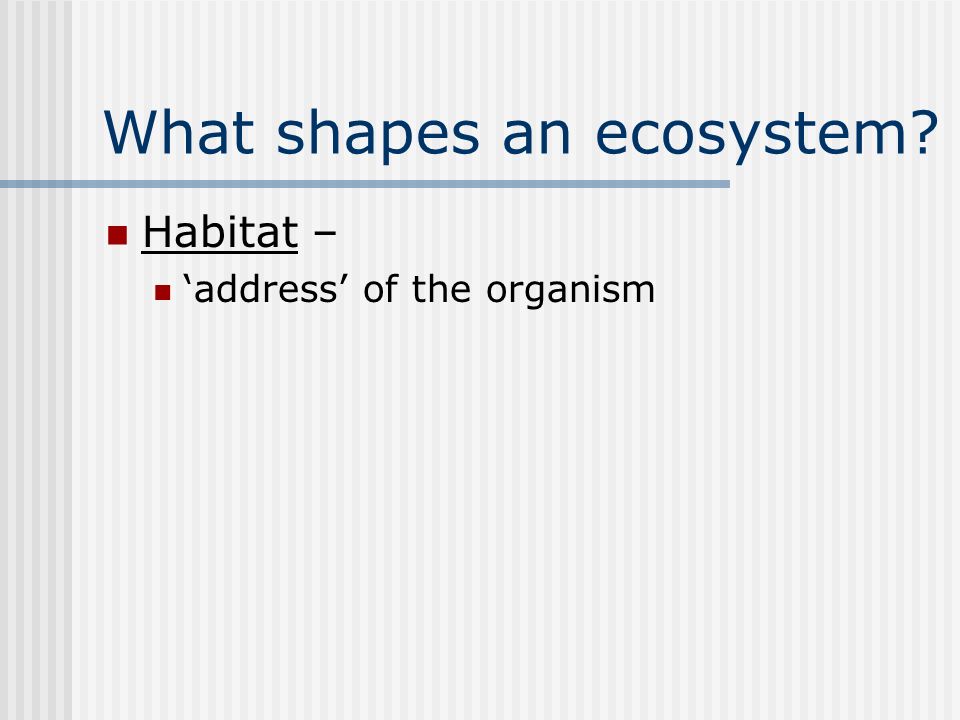 What shapes an ecosystem Habitat – ‘address’ of the organism