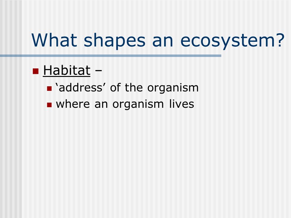 What shapes an ecosystem Habitat – ‘address’ of the organism where an organism lives