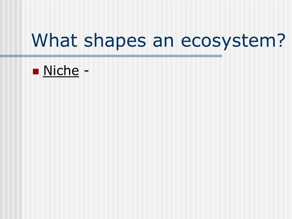 What shapes an ecosystem Niche -
