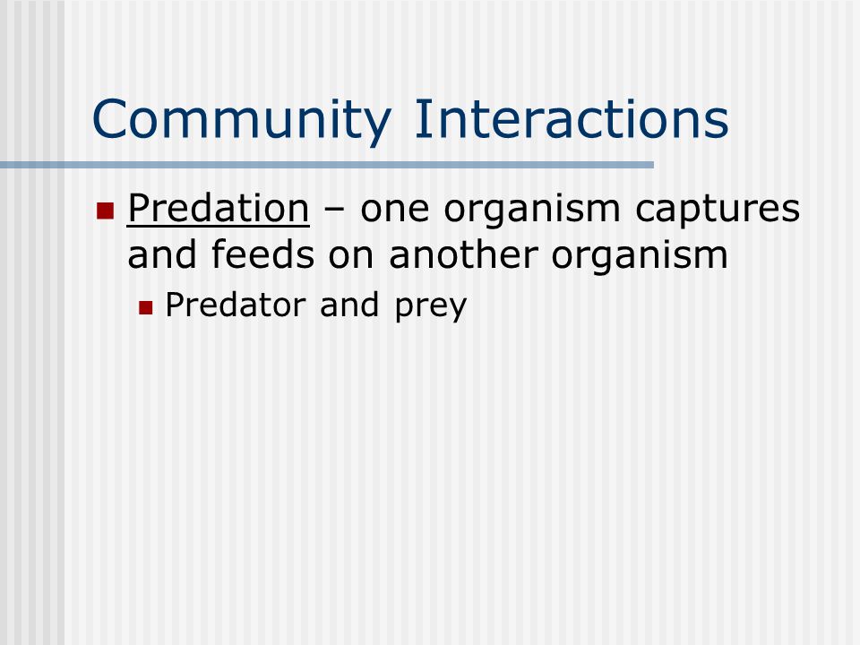 Community Interactions Predation – one organism captures and feeds on another organism Predator and prey