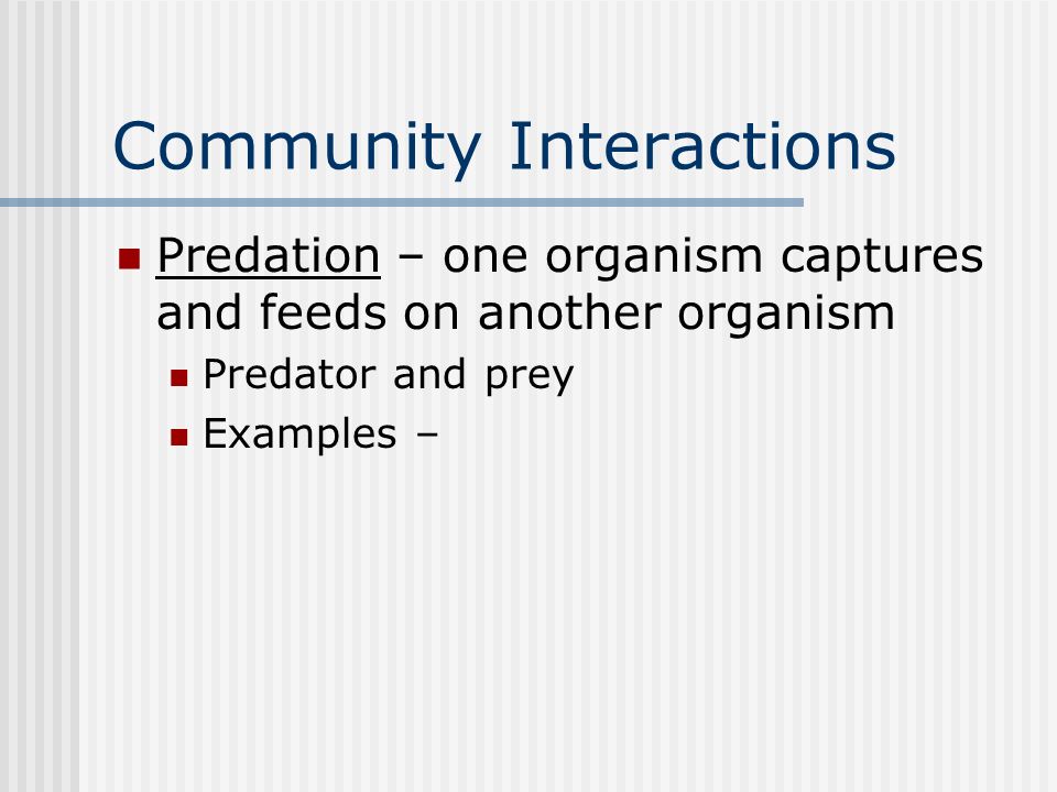 Community Interactions Predation – one organism captures and feeds on another organism Predator and prey Examples –