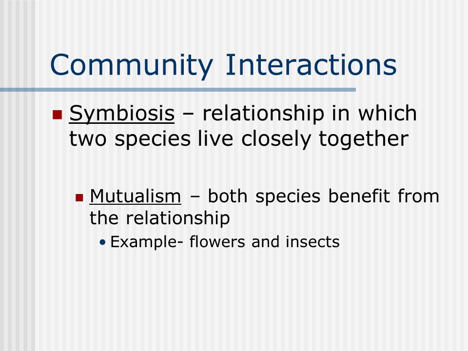 Community Interactions Symbiosis – relationship in which two species live closely together Mutualism – both species benefit from the relationship Example- flowers and insects