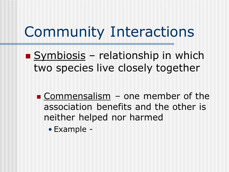 Community Interactions Symbiosis – relationship in which two species live closely together Commensalism – one member of the association benefits and the other is neither helped nor harmed Example -
