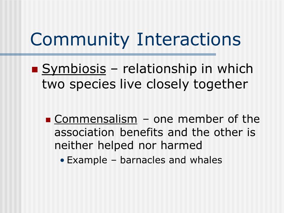 Community Interactions Symbiosis – relationship in which two species live closely together Commensalism – one member of the association benefits and the other is neither helped nor harmed Example – barnacles and whales