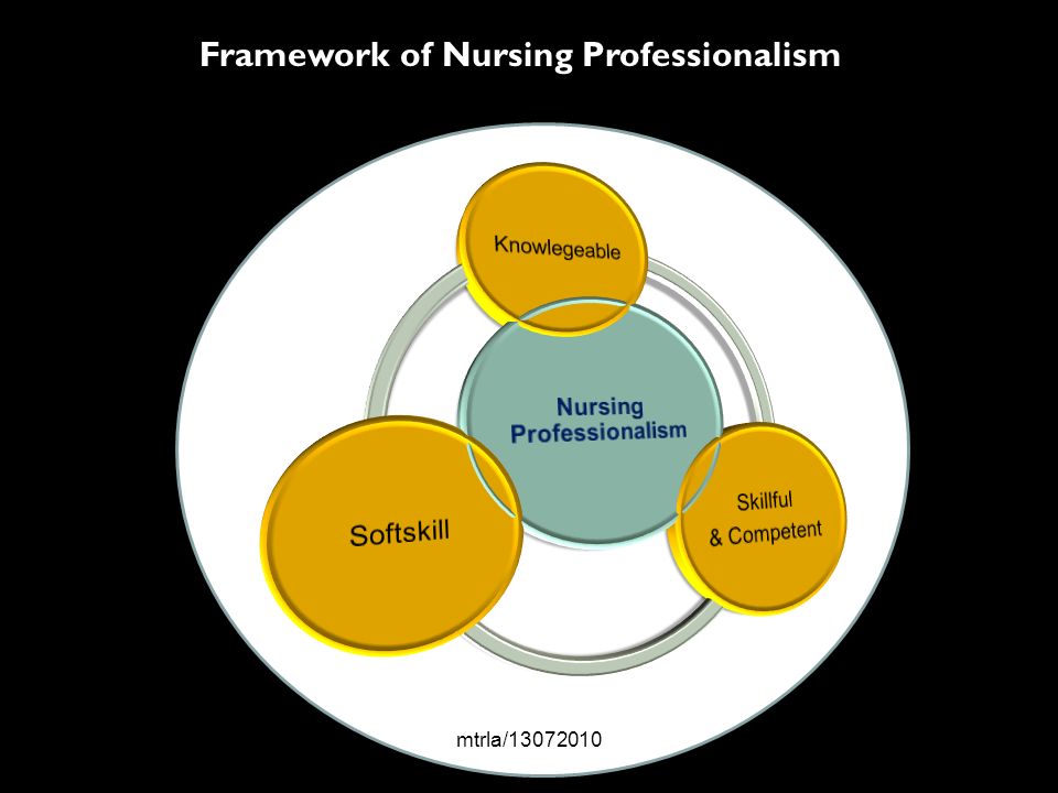 professionalism in nursing