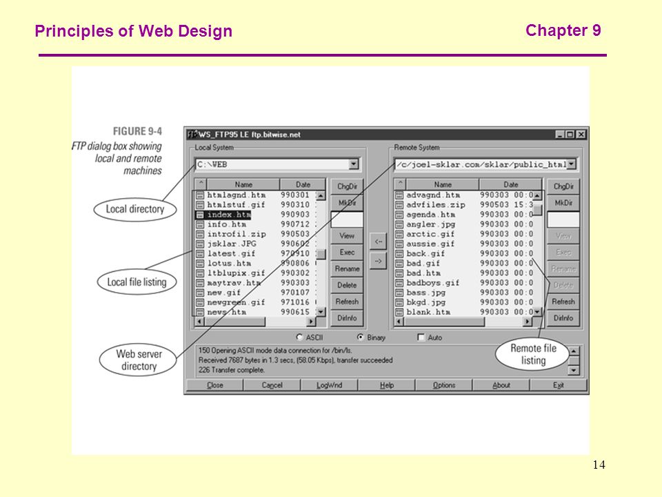14 Principles of Web Design Chapter 9