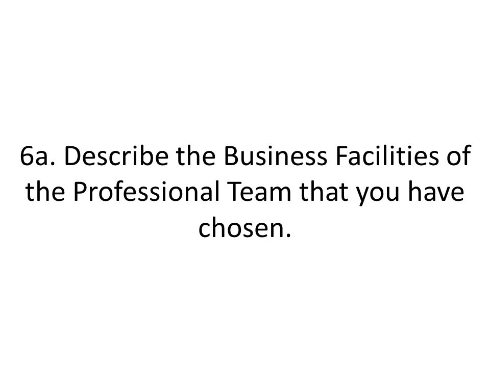 6a. Describe the Business Facilities of the Professional Team that you have chosen.