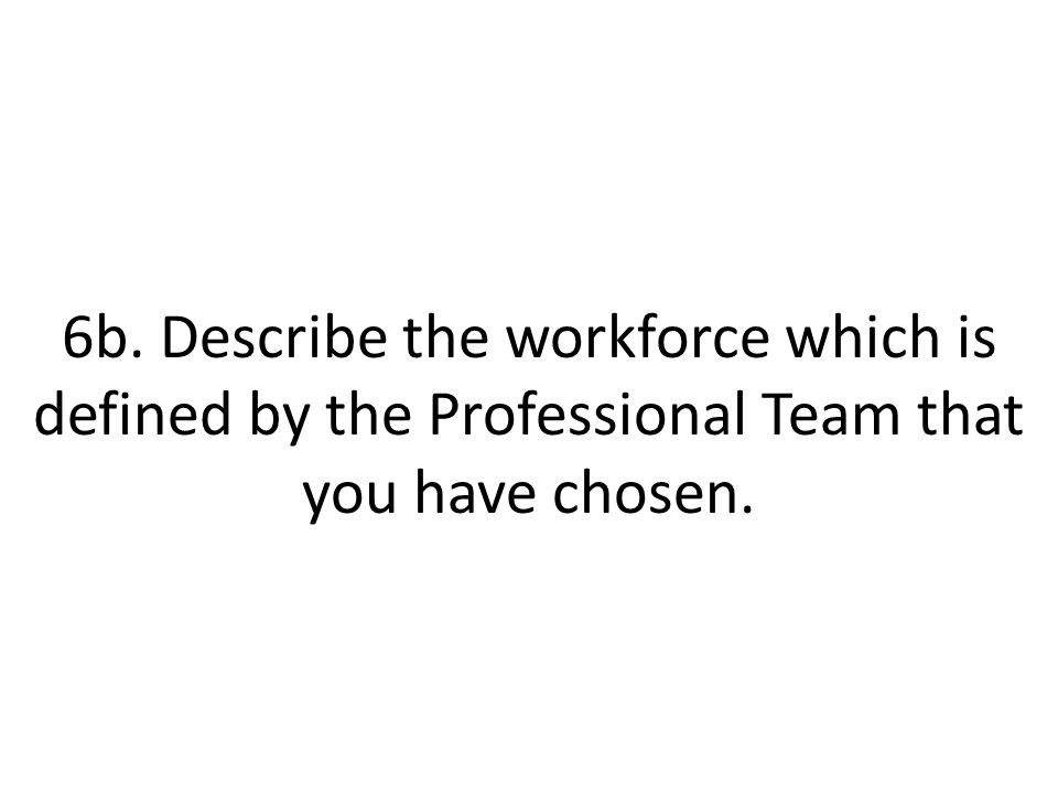 6b. Describe the workforce which is defined by the Professional Team that you have chosen.