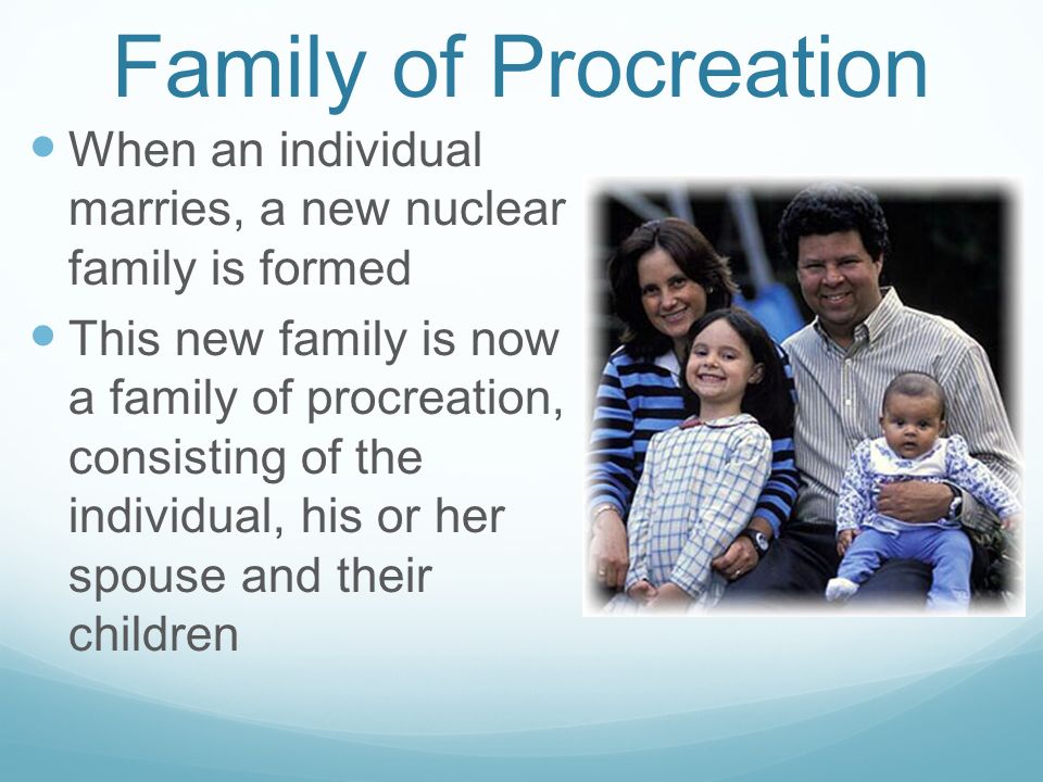What Is Family Essay