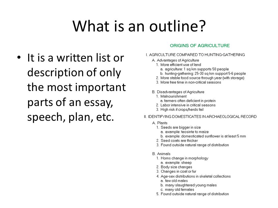 5 parts of an essay