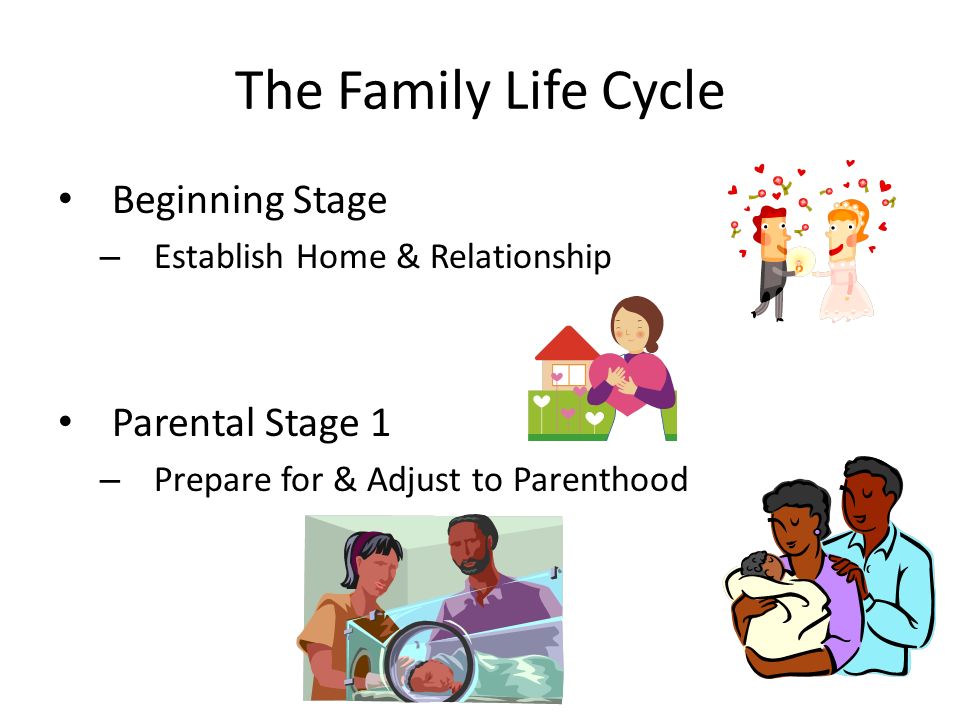 The Family Life Cycle Beginning Stage – Establish Home & Relationship Parental Stage 1 – Prepare for & Adjust to Parenthood