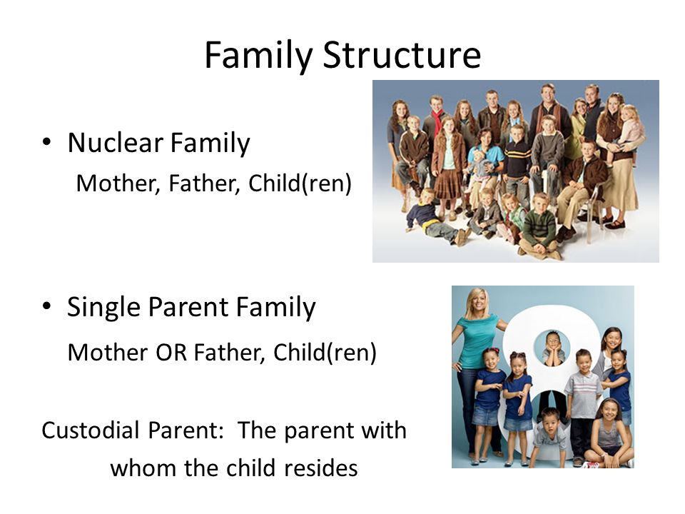 Family Structure Nuclear Family Mother, Father, Child(ren) Single Parent Family Mother OR Father, Child(ren) Custodial Parent: The parent with whom the child resides