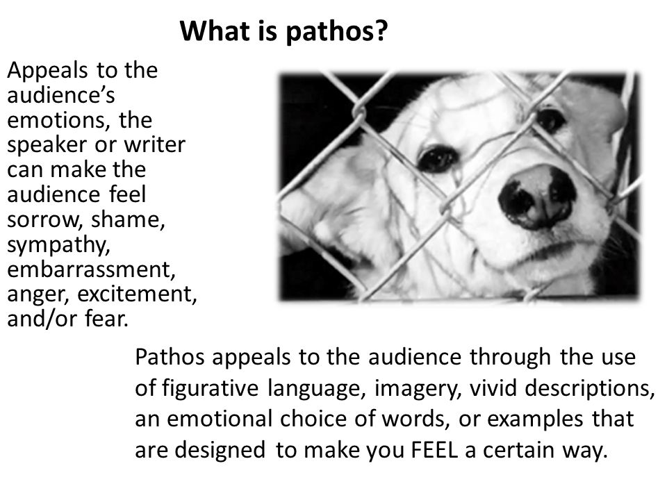 What is pathos.