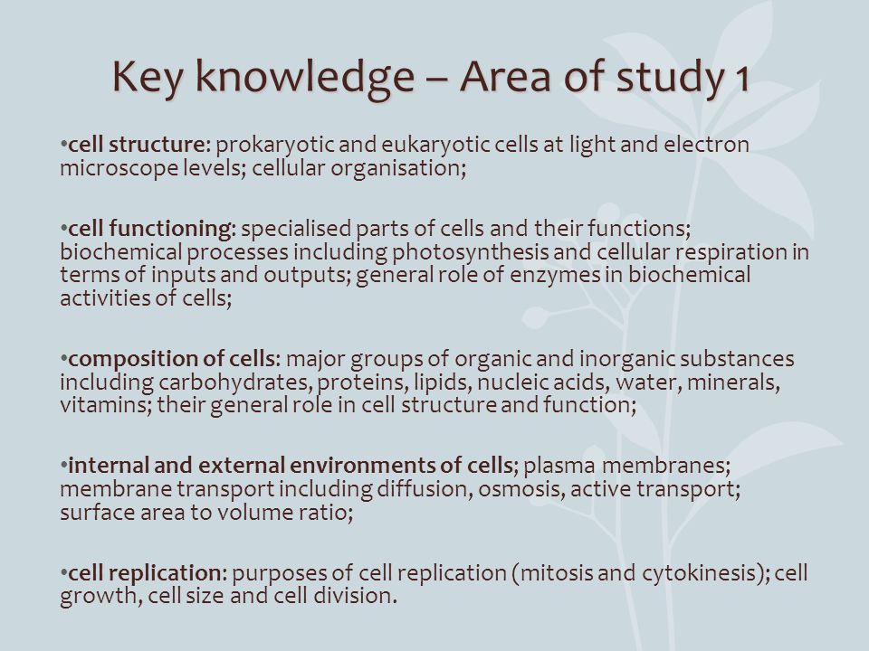Introduction To Unit One Biology Unity And Diversity Teachers Ms 3 Key Knowledge