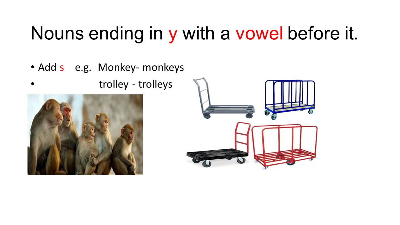 Nouns ending in y with a vowel before it. Add s e.g. Monkey- monkeys trolley - trolleys