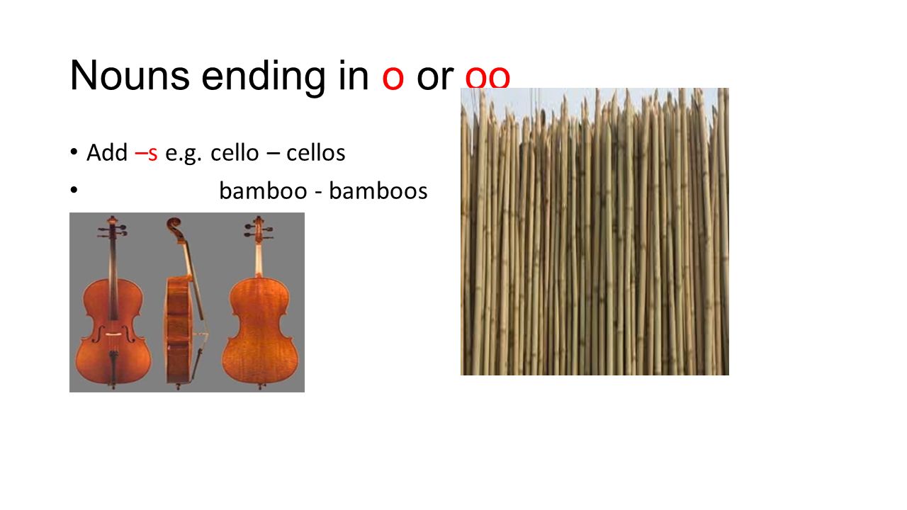 Nouns ending in o or oo Add –s e.g. cello – cellos bamboo - bamboos