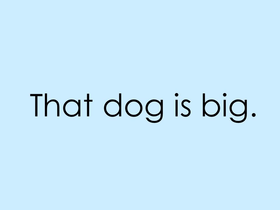 That dog is big.