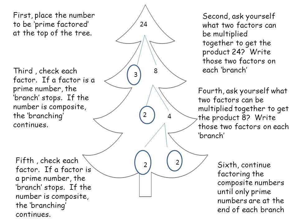 First, place the number to be ‘prime factored’ at the top of the tree.