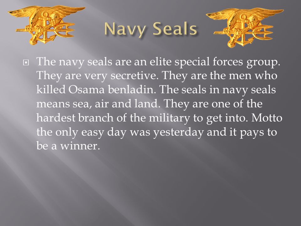 navy seal motto