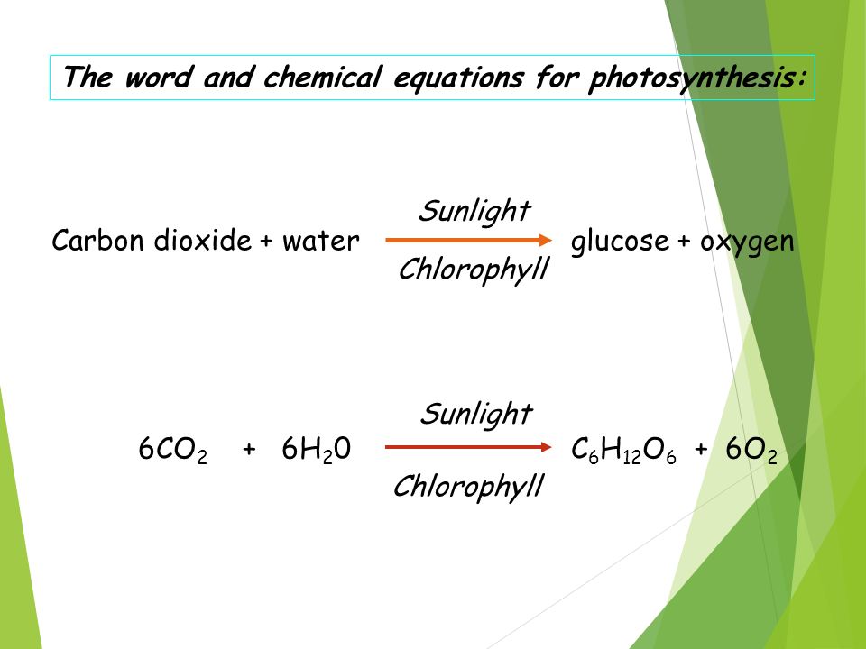 the impact of external factors: water and the carbon dioxide on the rate of photosynthesis essay By understanding the factors that affect the rate of photosynthesis they can do work to try and carbon dioxide these three factors are called water and. the impact of external factors: water and the carbon dioxide on the rate of photosynthesis essay By understanding the factors that affect the rate of photosynthesis they can do work to try and carbon dioxide these three factors are called water and.
