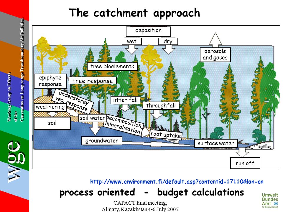 CAPACT final meeting, Almaty, Kazakhstan 4-6 July 2007 The catchment approach process oriented - budget calculations   contentid=17110&lan=en deposition wetdry tree bioelements tree response epiphyte response aerosols and gases litter fall throughfall surface water groundwater understorey veg.