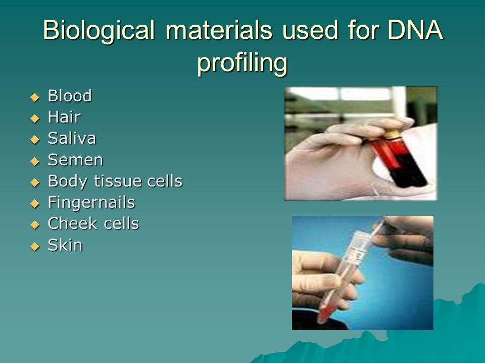 Biological materials used for DNA profiling  Blood  Hair  Saliva  Semen  Body tissue cells  Fingernails  Cheek cells  Skin