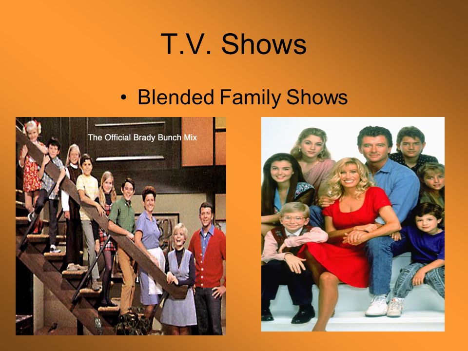 T.V. Shows Blended Family Shows