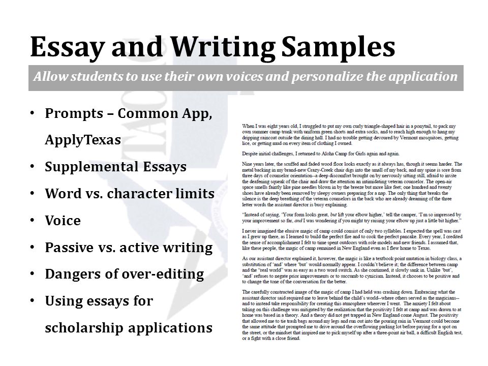 texas common application essays