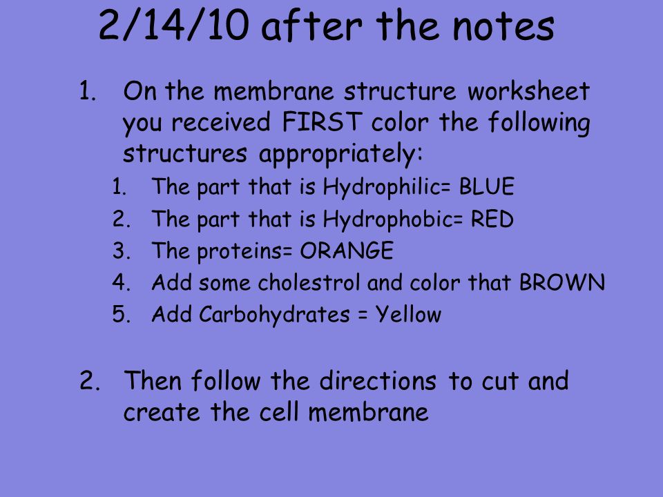 Daily Warm Up 1 What Two Things Must Happen For Diffusion To Occur 2