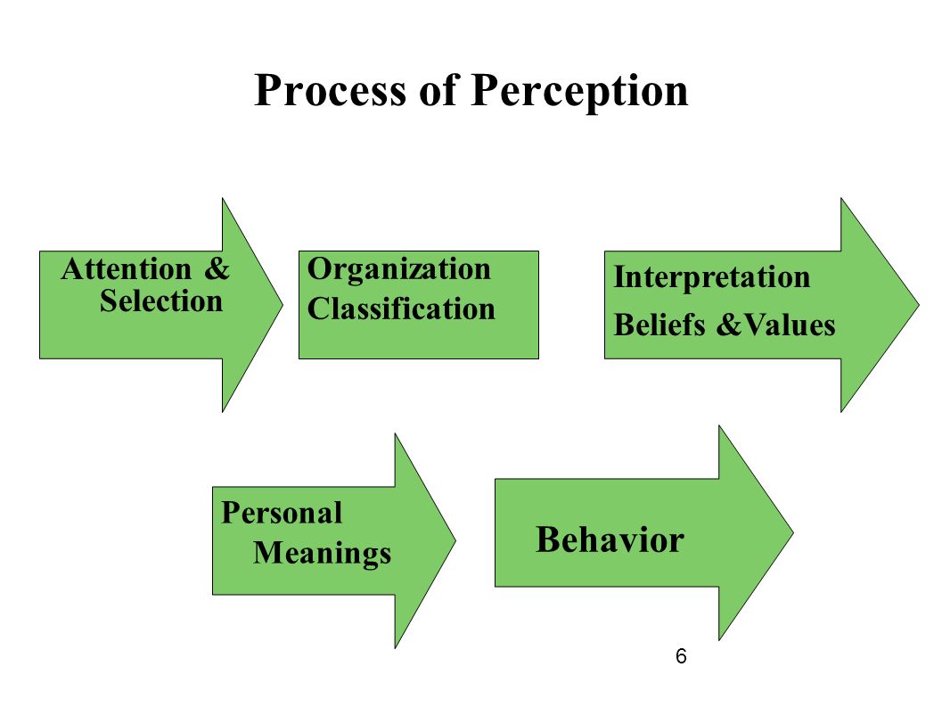 personality and perception in organizations personality and perception in organizations