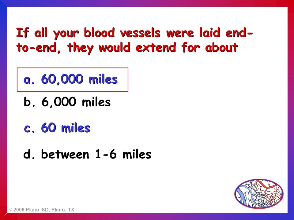 © 2006 Plano ISD, Plano, TX If all your blood vessels were laid end- to-end, they would extend for about a.