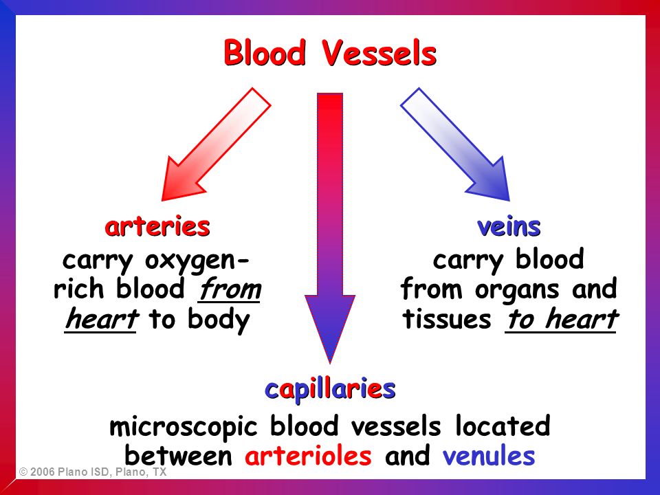 © 2006 Plano ISD, Plano, TX Blood Vessels arteries veins carry oxygen- rich blood from heart to body carry blood from organs and tissues to heart capillariescapillaries capillariescapillaries microscopic blood vessels located between arterioles and venules