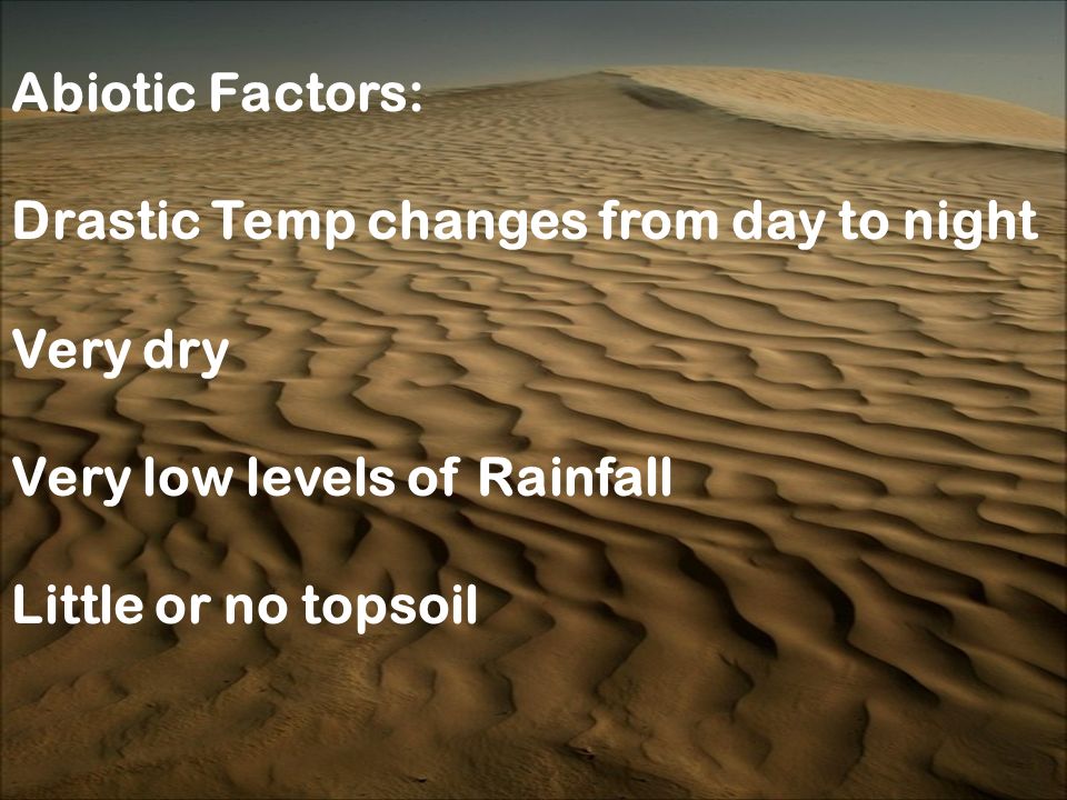Abiotic Factors: Drastic Temp changes from day to night Very dry Very low levels of Rainfall Little or no topsoil