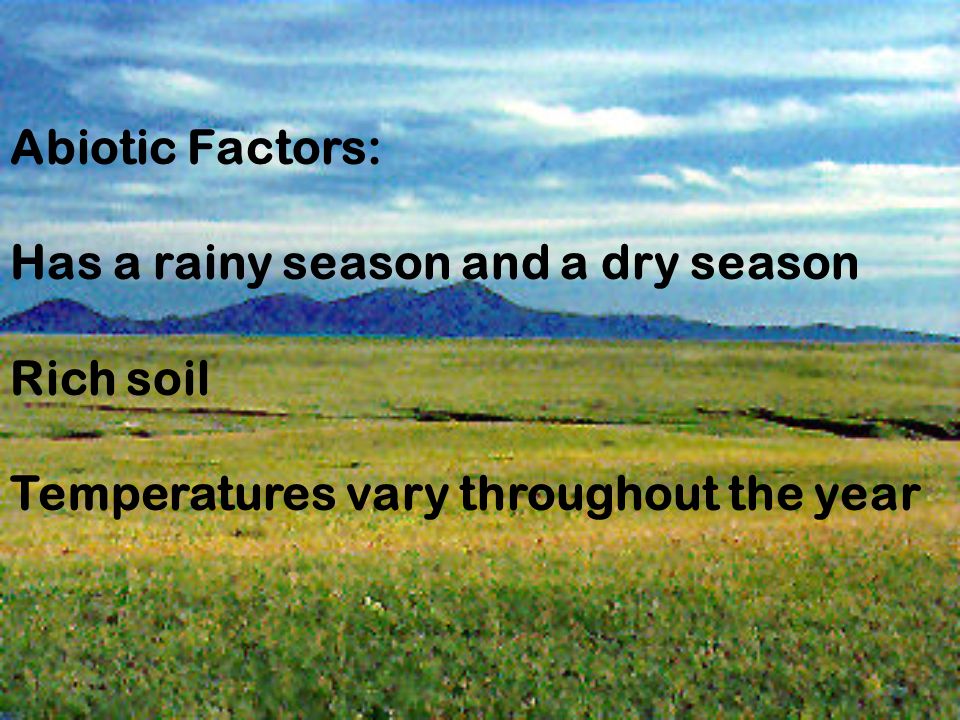 Abiotic Factors: Has a rainy season and a dry season Rich soil Temperatures vary throughout the year