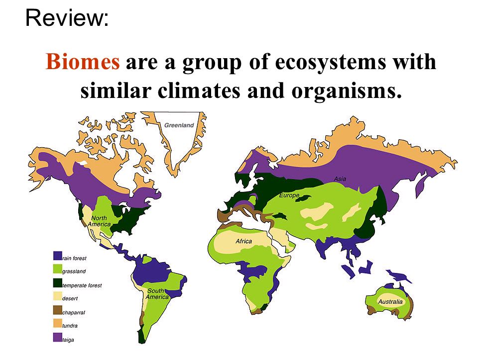 Biomes are a group of ecosystems with similar climates and organisms. Review: