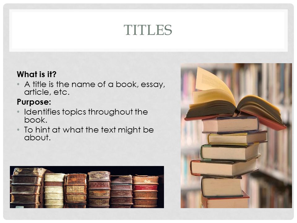 Essay About Reading