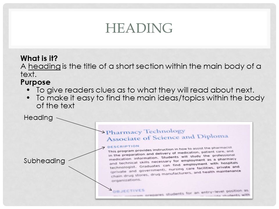 Section Headings In A Essay