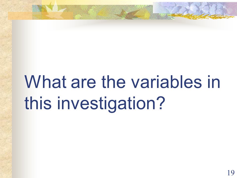 19 What are the variables in this investigation