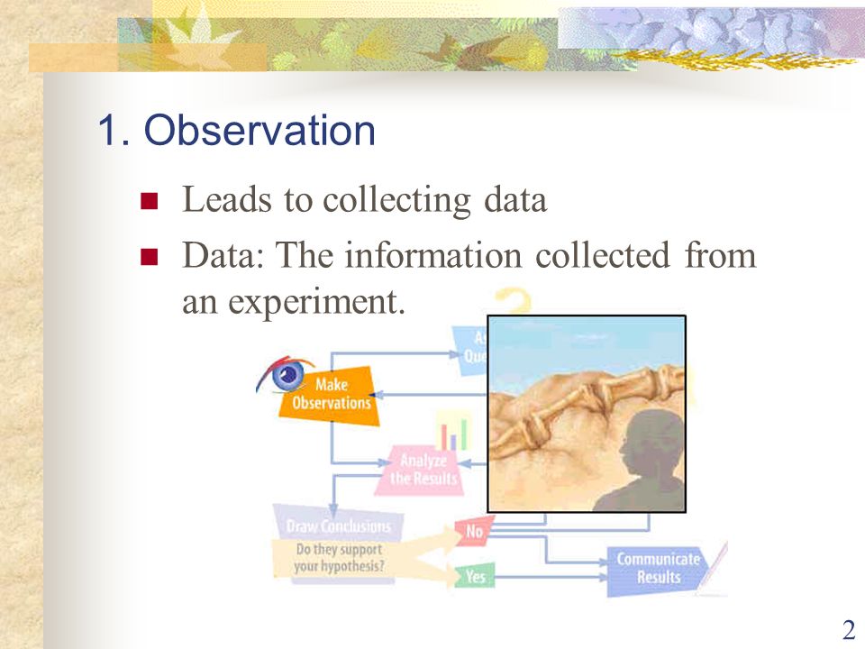 2 1. Observation Leads to collecting data Data: The information collected from an experiment.