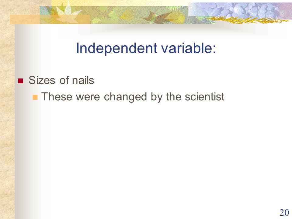 20 Independent variable: Sizes of nails These were changed by the scientist