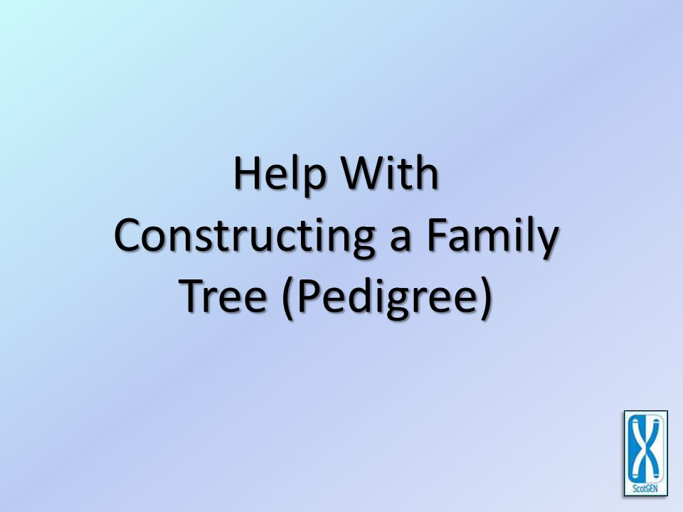 construct a family tree