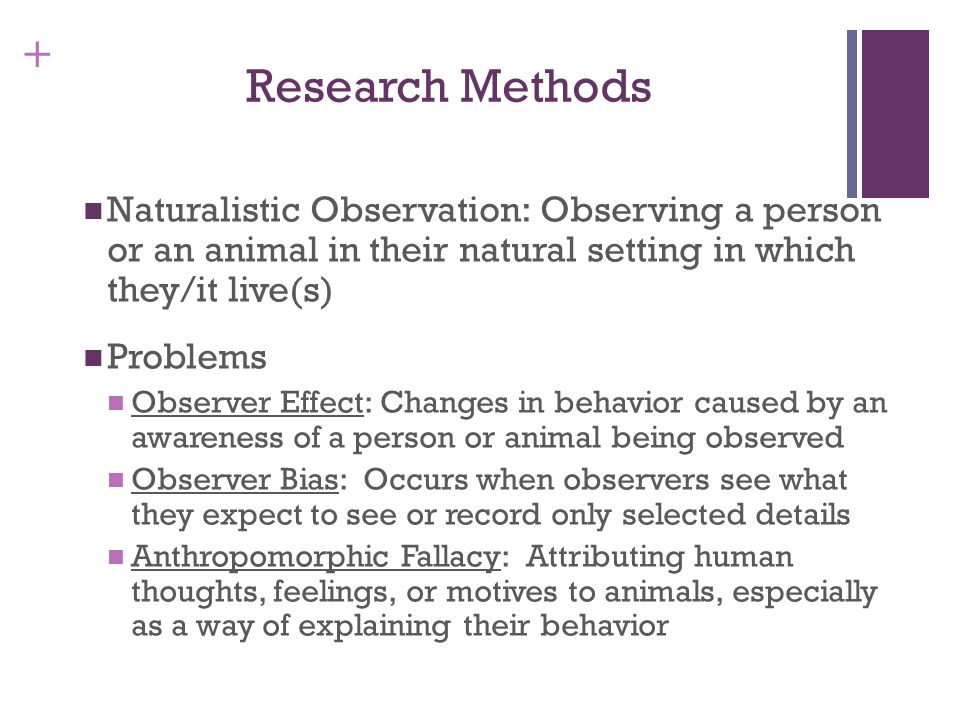 Observational Essay Examples