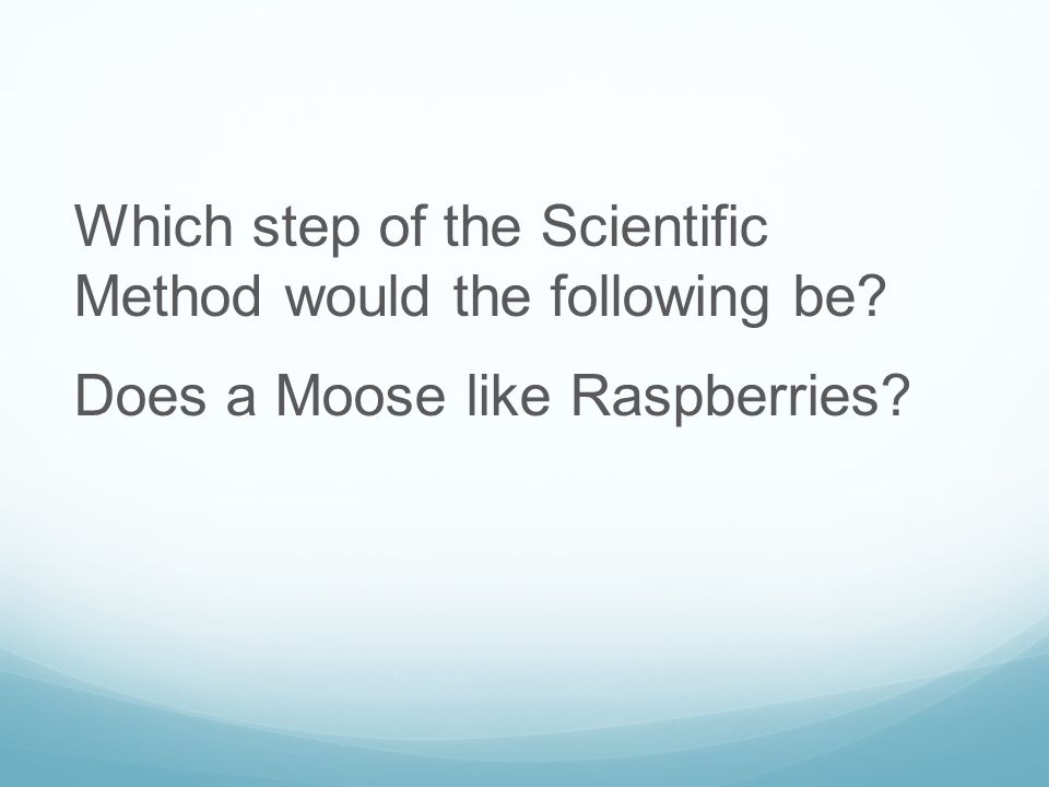 Which step of the Scientific Method would the following be Does a Moose like Raspberries
